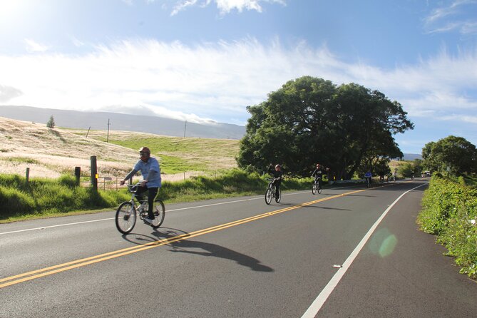 Predawn-Morning Haleakala Bike Tour 6,500 to Sea Level - Viator Insights
