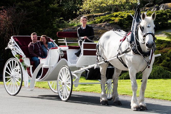 Premier Horse-Drawn Carriage Tour of Victoria - Additional Resources
