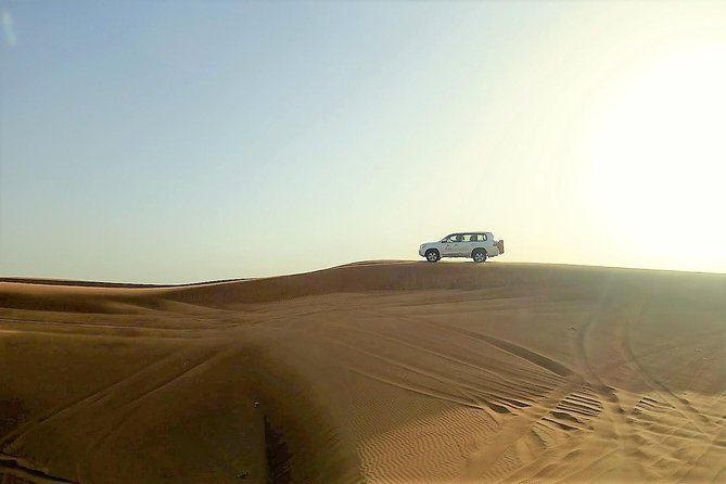 Premium Full-Day Safari, Dune Bash, Camel Ride and BBQ Meal in Desert Camp - Additional Information and Contacts