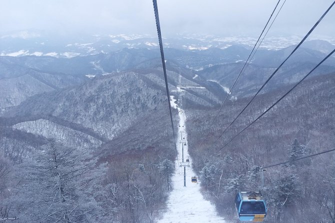 [Premium Private Ski Tour] Pyeongchang Olympic Site (Private Ski Lesson) - Expert Instructor Guidance