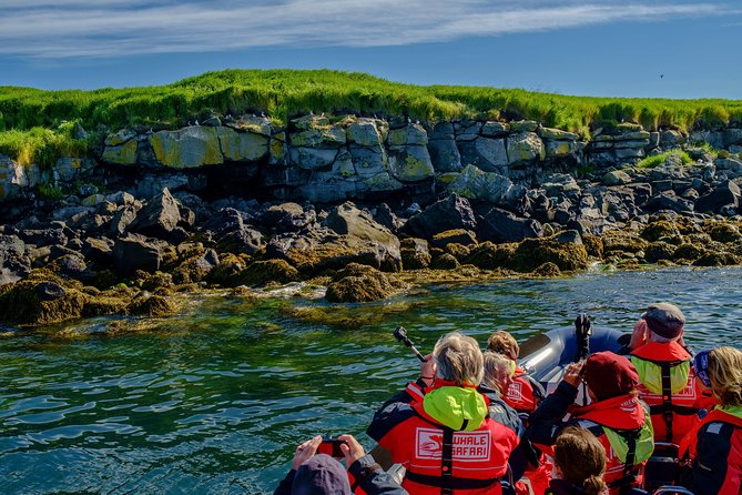 Premium Small-Group Puffin & Bird Watching Tour From Reykjavík - Additional Information