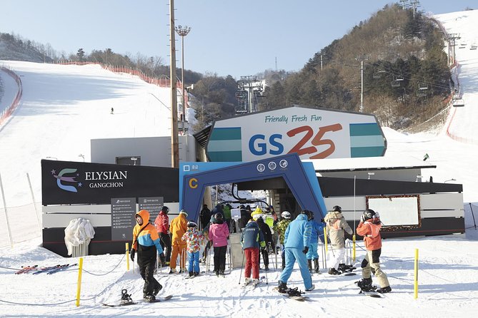 Private 1:1 Ski Lesson Near Seoul, South Korea - Location and Meeting Point