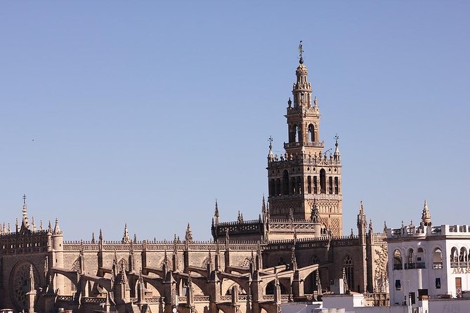 Private 12-Hour Tour to Sevilla From Malaga With Hotel Pick up - Educational Insights Shared