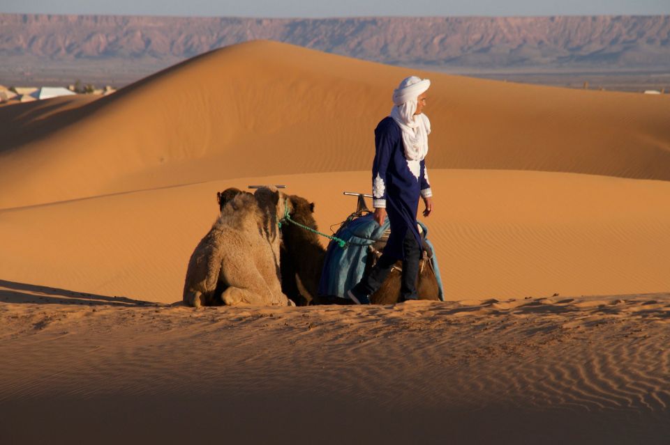 Private 2-Day Desert Trip With Camping & Camel Trekking - Additional Information