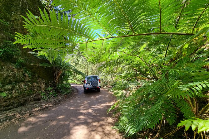 Private 4x4 Jeep Full Day Porto Moniz or Santana - Booking and Operational Details