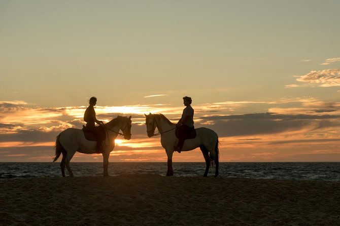 Private 75-Minute Horseback Riding Tour on the Beach  - Setubal District - Cancellation Policy