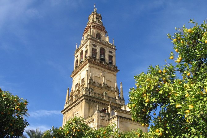 Private 9-Hour Tour to Cordoba From Granada With Hotel Pick up & Drop off - Last Words