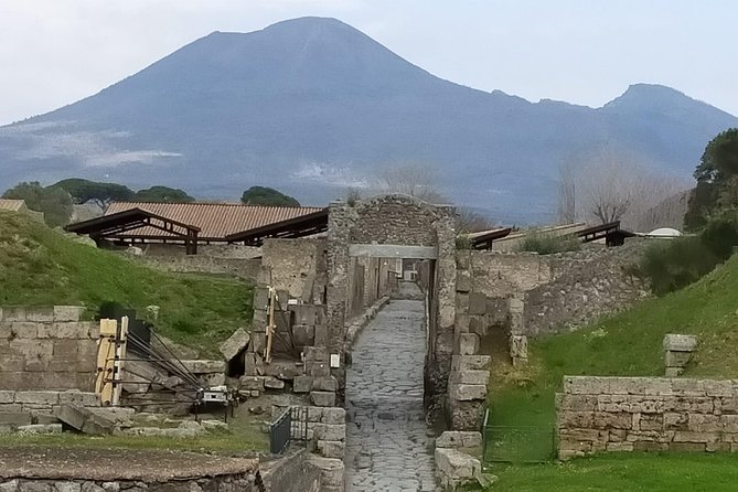Private Archaeologist Service to Explore Pompeiis Secrets Any Time Ticket Incl. - Cancellation Policy and Changes