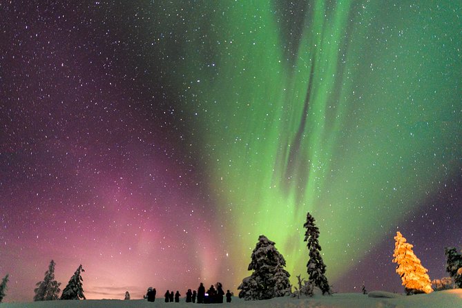 Private Aurora Tour by Lapland Welcome Aurora Experts for 1-4 Persons - Customer Reviews