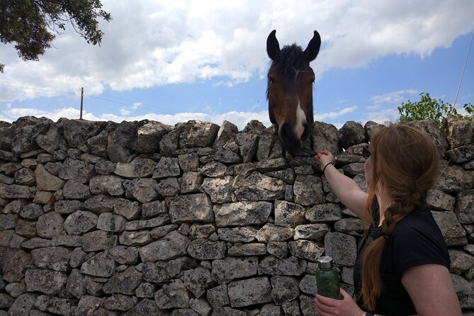 Private Bike Tour With Olive Oil Tasting - Booking Process and Tips