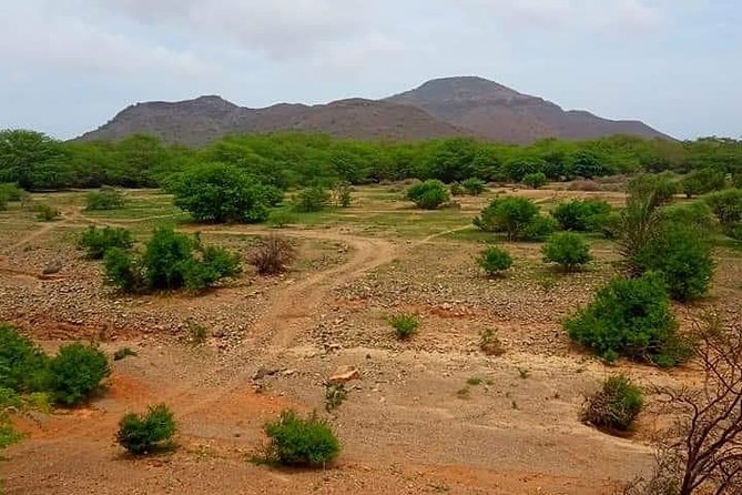 Private Boa Vista Tour From Spinguera to Cabo S. Maria - Common questions