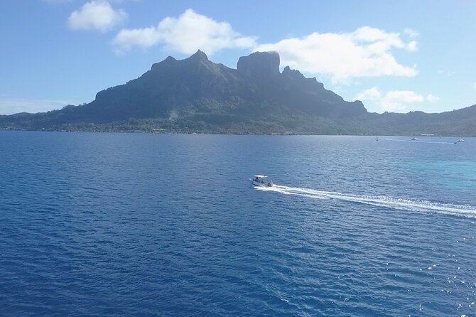 Private Boat for Your Introductory Dive (2 People) - With Video - Pricing, Copyright, and Terms