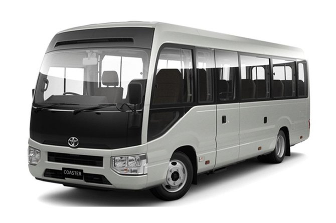 Private & Custom OSAKA Day Tour by Toyota COASTER/MICROBUS (Max 27 Pax) - Common questions