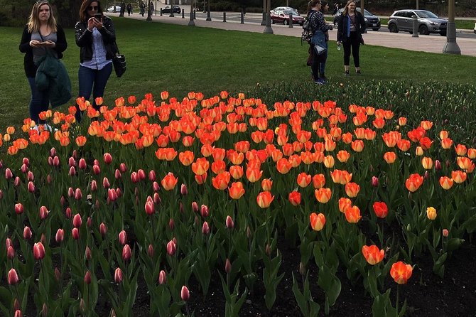 Private Day Tour OTTAWA Tulip Festival May 10-20 From MONTREAL - Group Size Pricing
