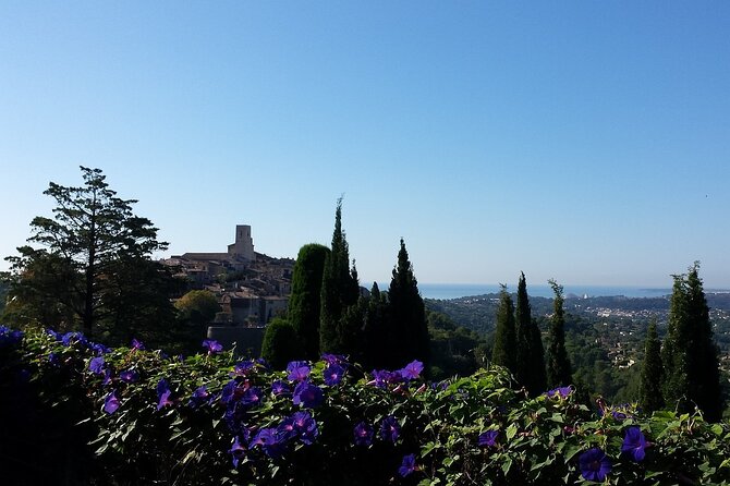 Private Day Trip: Cannes To Vence & Eze, English Speaking Driver - Customer Reviews