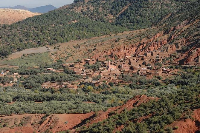 Private Day Trip From Marrakech to Atlas Mountains - Customer Reviews