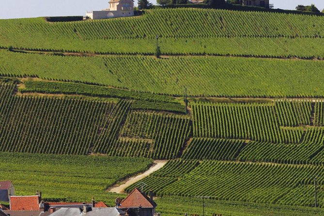 Private Day Trip From Paris to Reims and the Champagne Region - Common questions