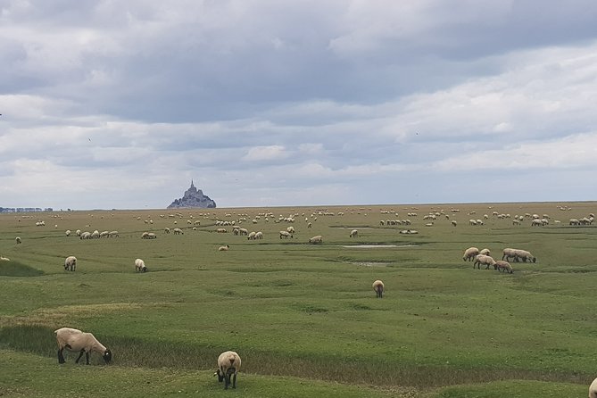 Private Day Trip to Mont Saint-Michel From Saint-Malo With Local Driver-Guide - Private Day Trip Logistics