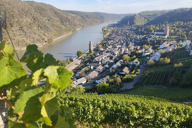 Private Day Trip to the Romantic Rhine Valley With River Cruise and Wine Tasting - Cancellation Policy Details