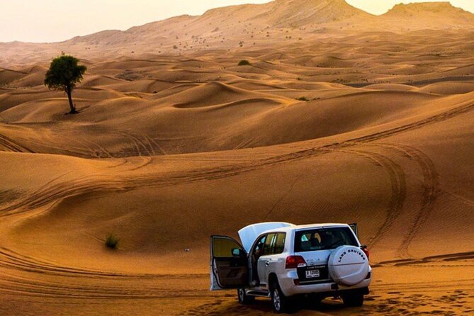 Private Desert Excursion With Camel Ride Sandboard & BBQ Dinner - Activity Highlights