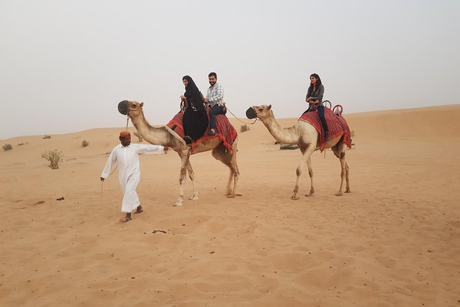 Private Desert Safari With Camel Ride and BBQ in Dubai - Booking Process Guidance