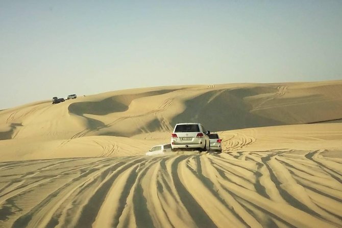 Private Doha Desert With Dune Bash, Camel Ride and Inland Sea - Customer Reviews and Ratings