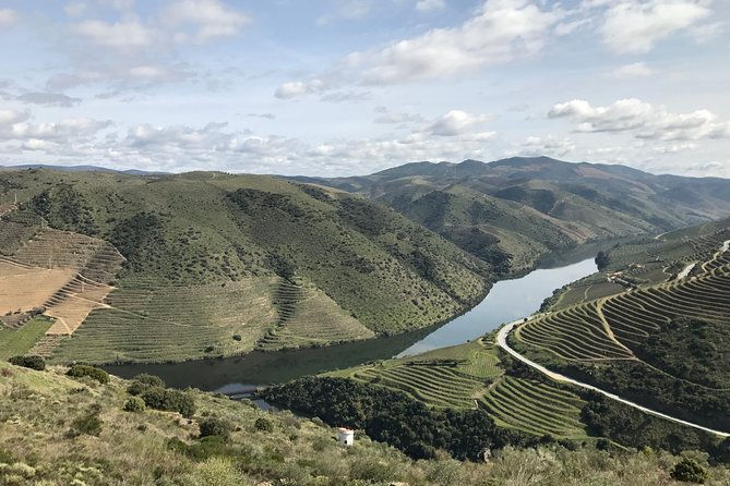 Private Douro Valley Tour Includes Wine Tasting and Boat Tour - Customer Reviews