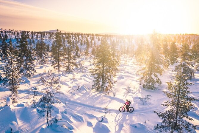 Private Electric Fat Bike Tour in Saariselkä - Common questions