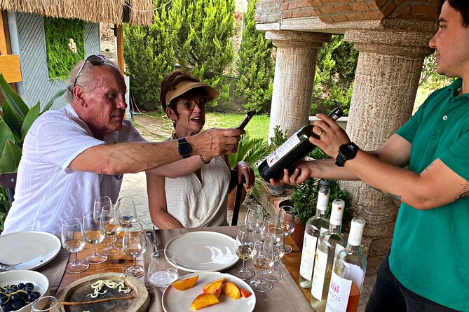Private Ephesus Tour With Wine Tasting - Additional Information