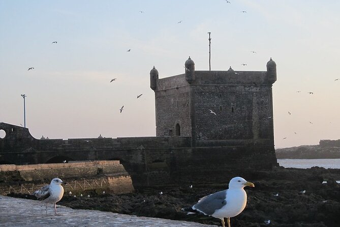 Private Essaouira Day Trip From Agadir - How Viator Works