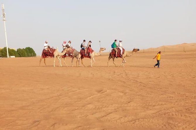 Private - Evening Desert Safari With Camel Ride, BBQ Dinner and Belly Dacne - Last Words
