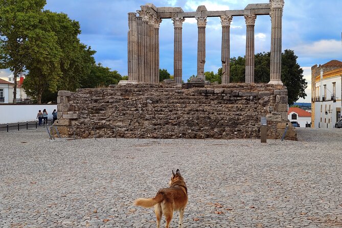 Private Évora Tour - Megaliths, Historical Center and Cork Region - Local Attractions Covered