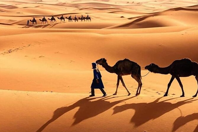 Private Excursion 3 Days The Dunes of Merzouga Departure Marrakech - Last Words