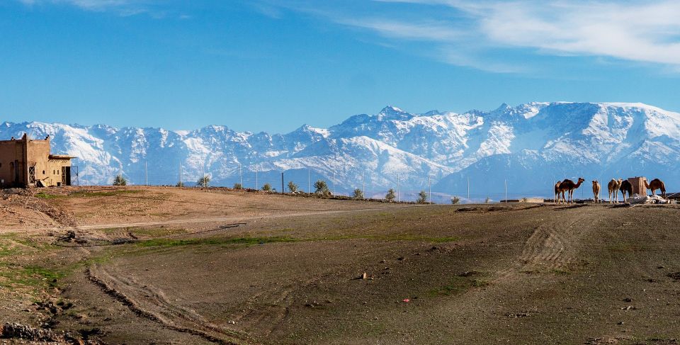 Private Excursion to Agafay Desert From Marrakech - Last Words