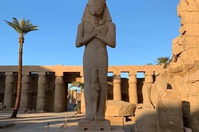 Private Full-Day Tour to West and East Banks of Luxor - Customer Reviews and Ratings