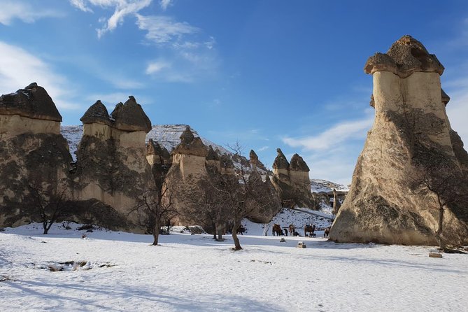 Private Guide in Cappadocia, Turkey - Common questions