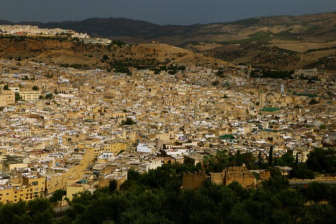 Private Guided Full-Day Tour of Fez - Traveler Assistance