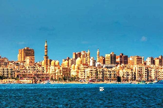 Private Guided Full-Day Tour to Alexandria From Cairo - Traveler Feedback and Reviews