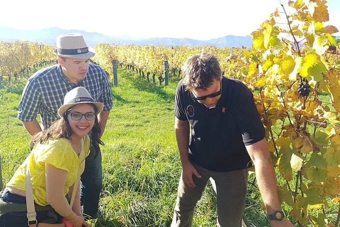 Private Guided Marlborough Wine Tour From Picton NZ - Customer Reviews