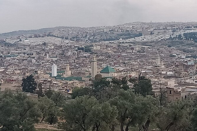 Private Guided Tour in Fez - Reviews and Ratings