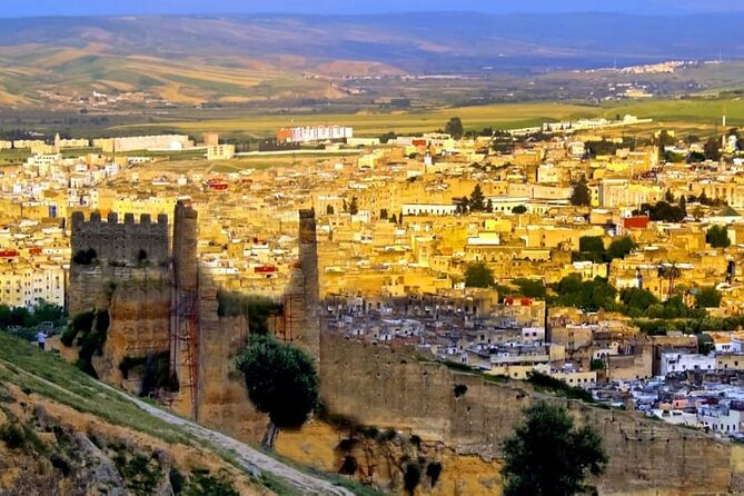 Private Guided Tour of the Medina of Fez and Its Surroundings - Common questions