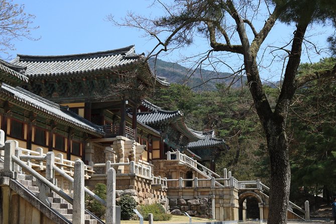 Private Gyeongju Tour: Seokguram Grotto, Bulguksa Temple  - Busan - Helpful Resources