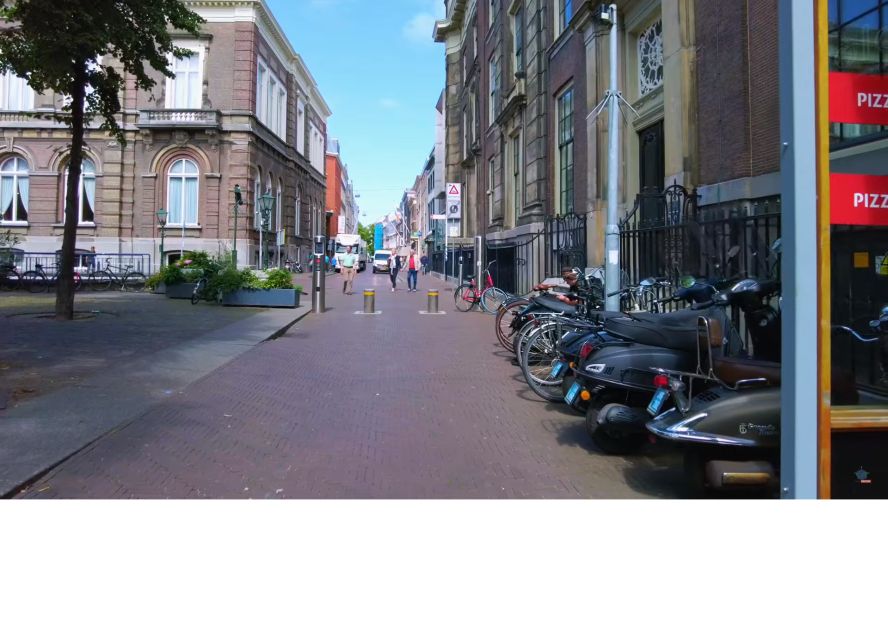 Private Half-Day Delft and the Hague Tour - Pickup Locations and Languages