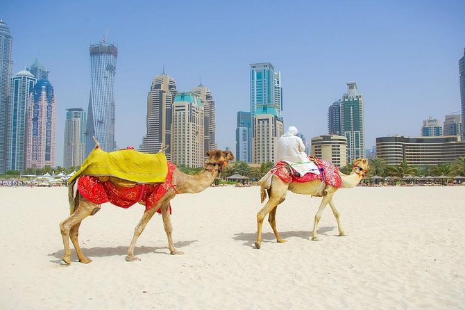 Private Half Day Modern Dubai City Tour With Lunch - Directions