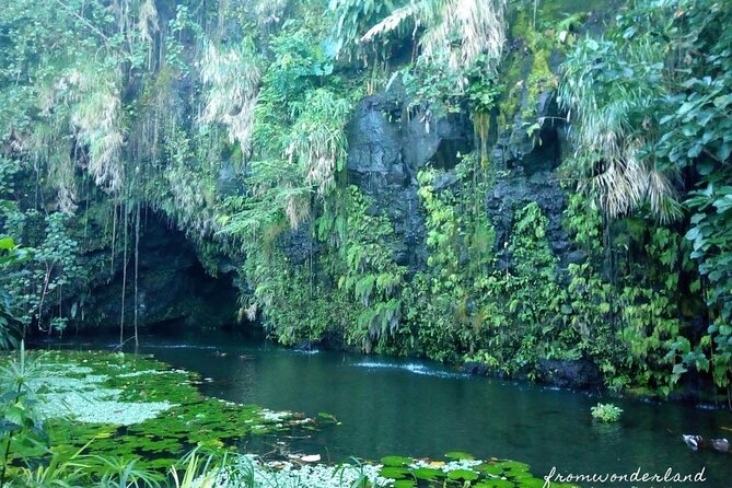Private Half-Day Natural Highlights Tour of Tahiti  - Papeete - Grottos of Maraa
