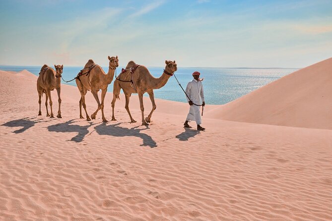 Private Half-Day Tour From Doha to the Desert With Camel Ride - Camel Ride Experience