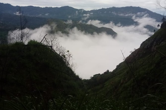 Private Hiking Adventure to the Little Adam's Peak And Nine Arches Bridge. - Transportation Details