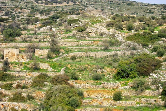 Private Hiking Tour of Lefkes Byzantine Path Ancient Greek Route - Directions