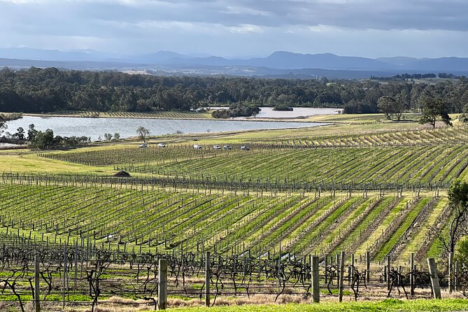 Private Hunter Valley Wine Day Tour From Sydney - Booking Information
