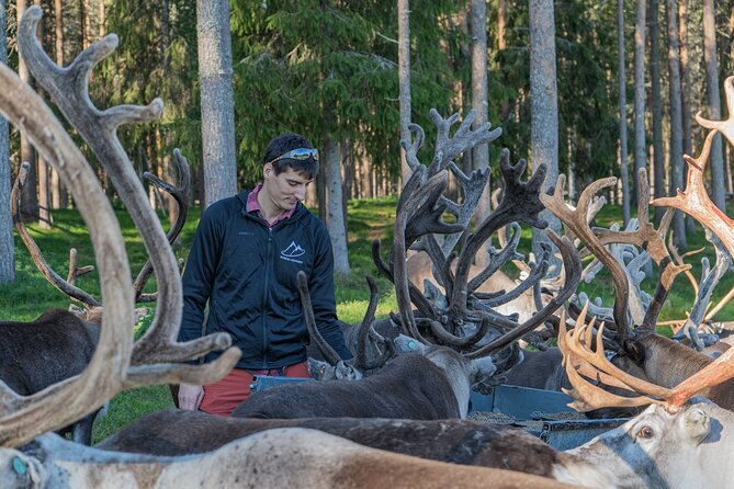 Private Local Lifestyle With Reindeer and Wilderness Sauna - Last Words